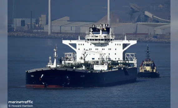 URSUS MARITIMUS