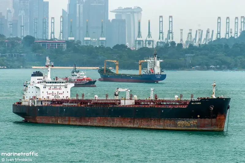 SILVER TIGER