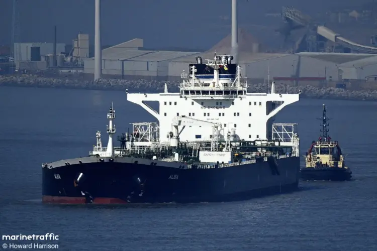 URSUS MARITIMUS