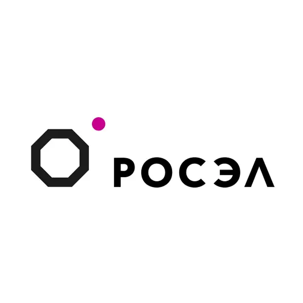 JOINT-STOCK COMPANY RUSSIAN ELECTRONICS