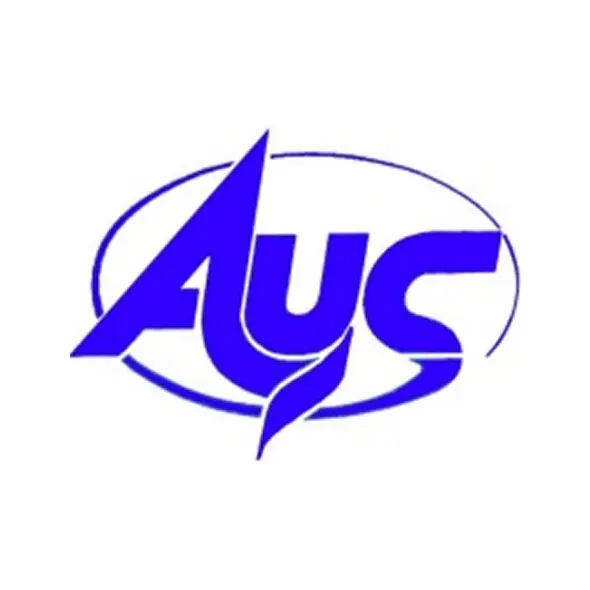 JOINT-STOCK COMPANY "SCIENTIFIC RESEARCH INSTITUTE OF AEROELASTIC SYSTEMS"