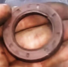 Oil seals