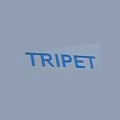 Шлифовальный станок TRIPET TST 250