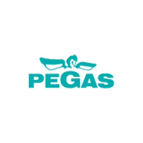 Band saw Pegas