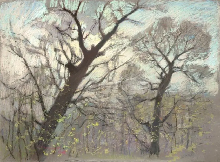 Spring has come / Vesna pryisнla (Photo 256)