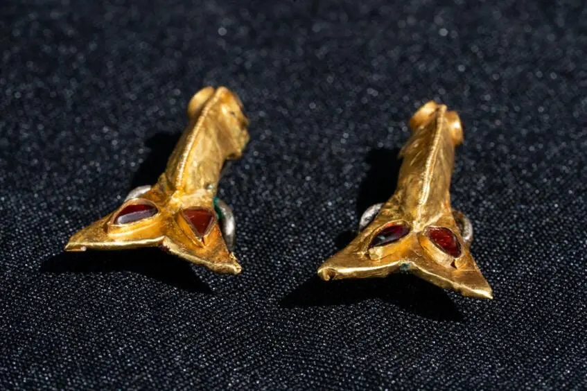 Silver fibulas covered with a gold plate (Photo 1)