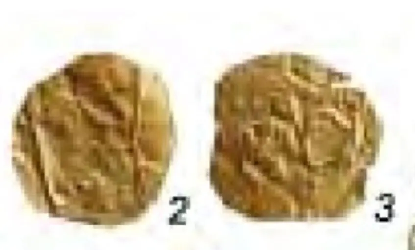 Coin-shaped indications from yellow metal