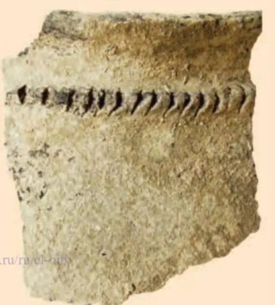 The crown of a stucco pot of the Bronze Age (Photo 256)