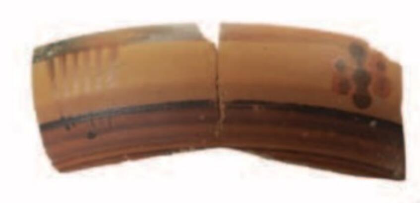 Fragment of the body of the 
