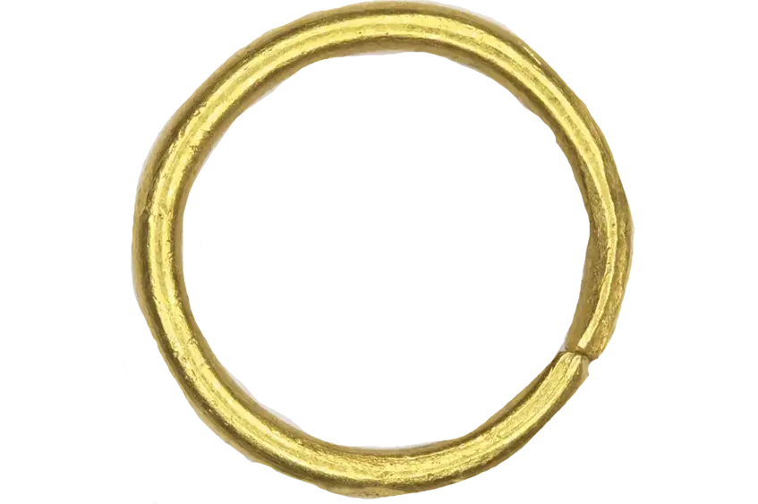 Hoop Earring (Photo 256)