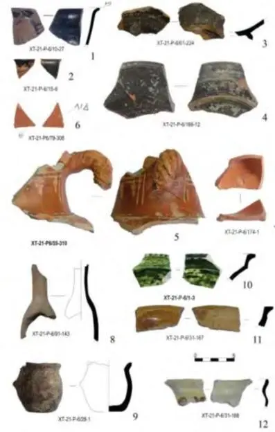 A collection of amphora fragments with stamps