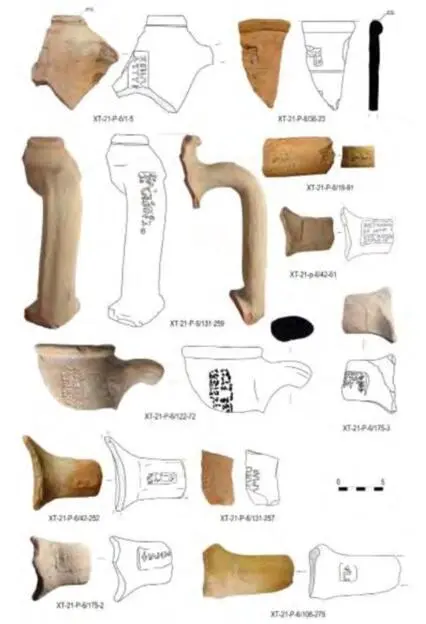 A collection of amphora fragments with stamps