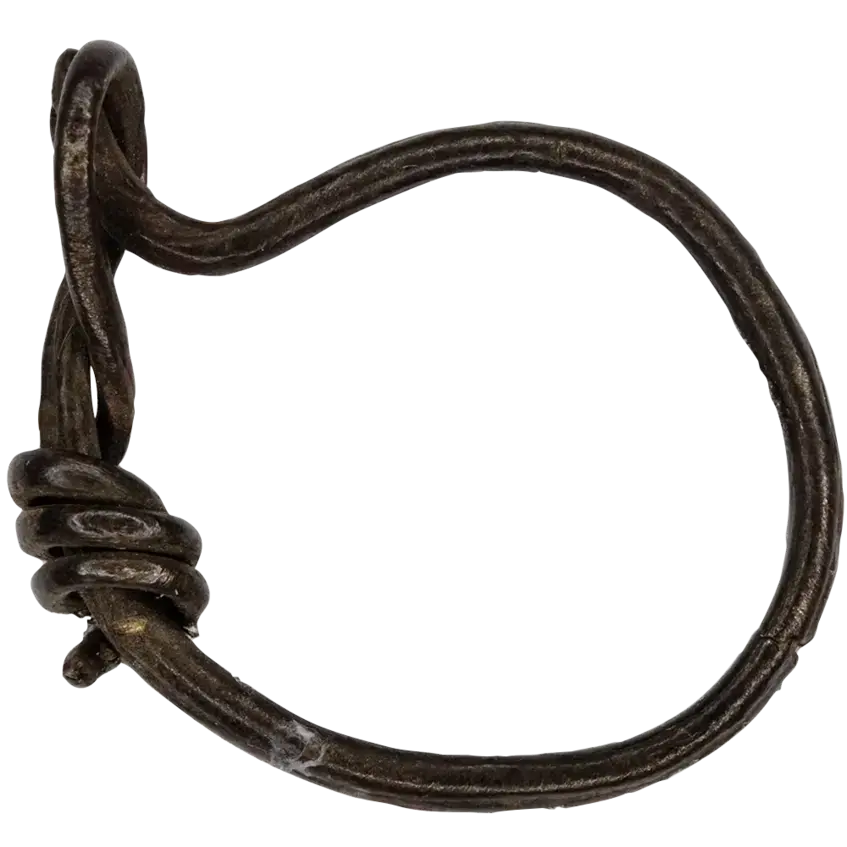 Ring Earring (Photo 256)