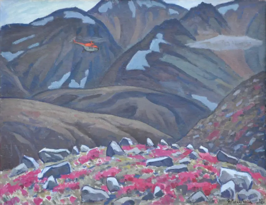 Chukotka. Tundra in bloom / Chukotka. Tundra kvitne