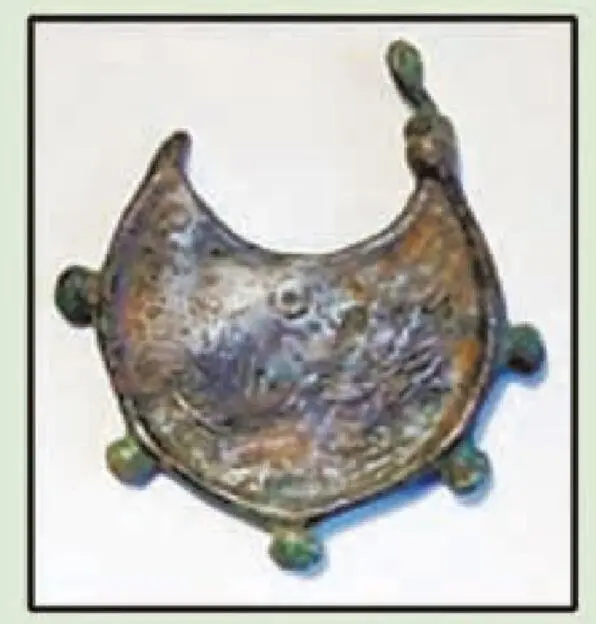 An earring with a lamellar shield in the shape of a honeycomb (Photo 256)