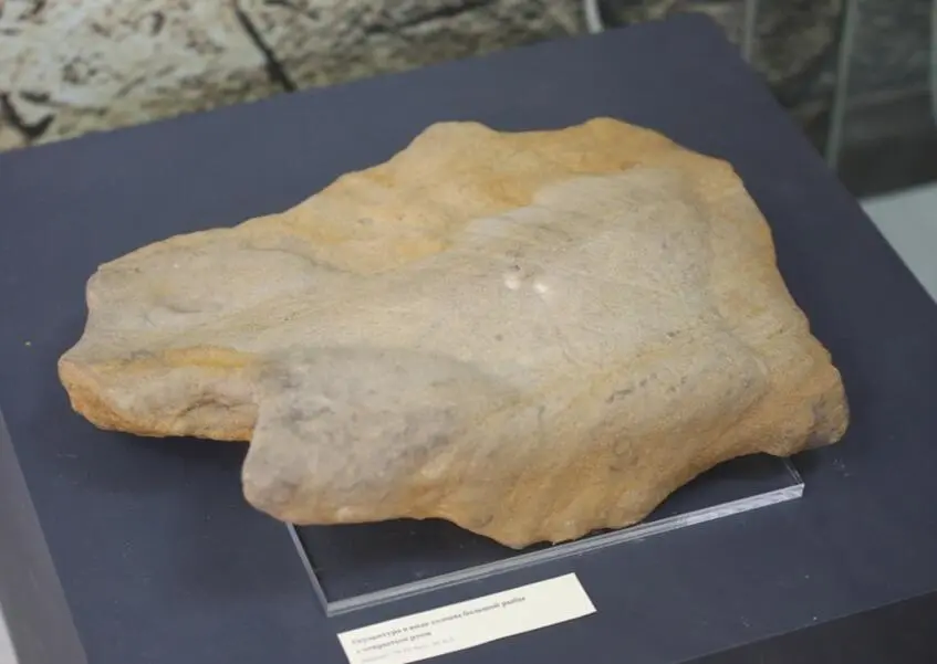 Sculpture in the form of a large fish head with an open mouth