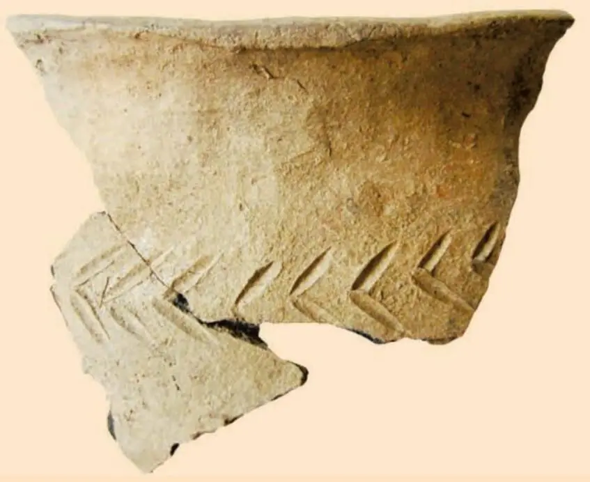 The crown of a stucco pot of the Bronze Age (Photo 256)