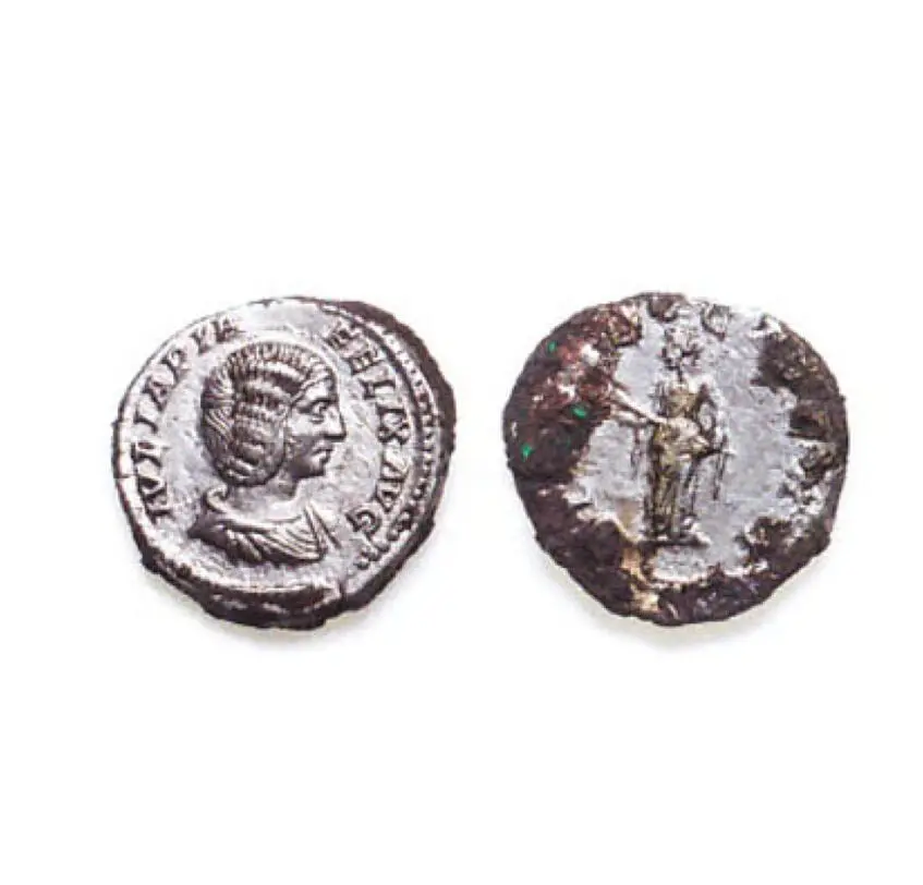 The Denarius of Julia Domna №2 (Photo 256)