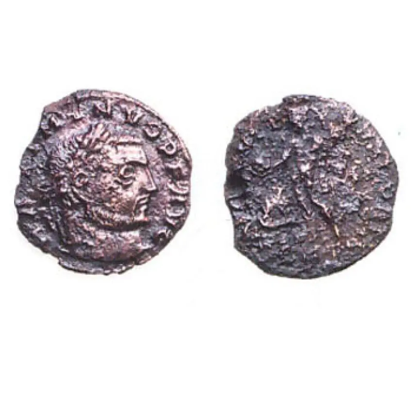 Follis Maximina II Daya