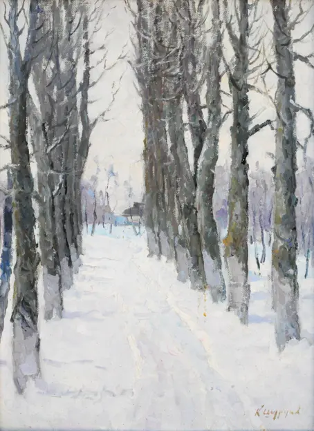 Alley in winter / Аleia vzymku (Photo 256)