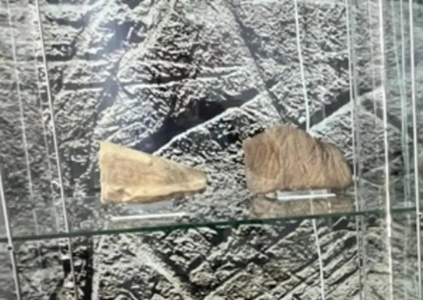 Petroglyphs depicting animals