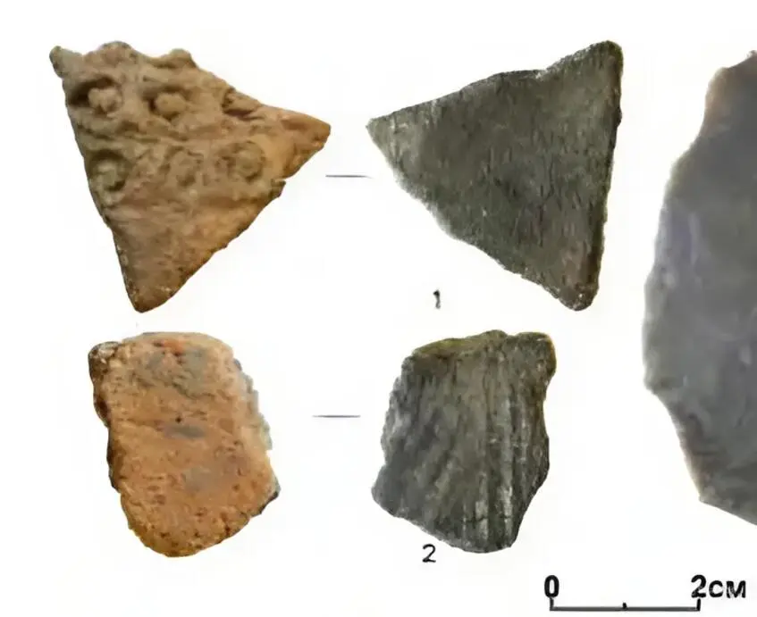 Fragments of moulded vessels