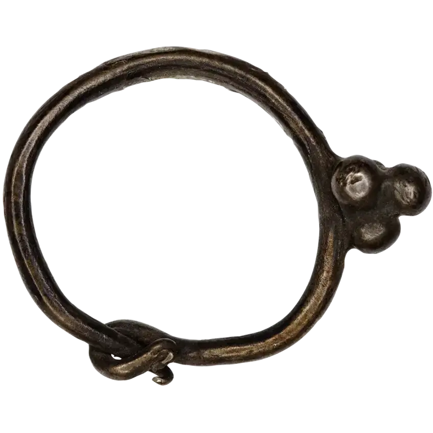 Ring Earring