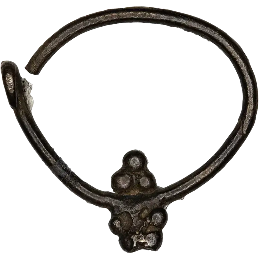 Ring Earring (Photo 256)
