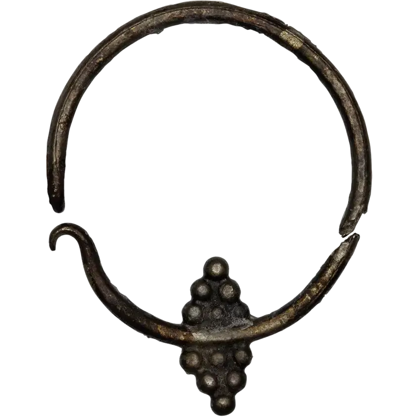 Ring Earring