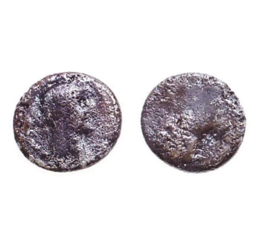 Coin (Bosporus Kingdom)