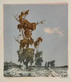 Willows / Verby