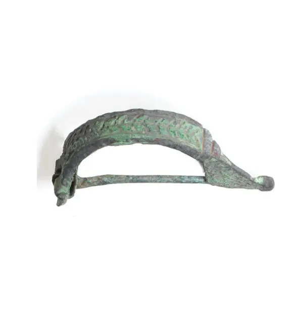 Arched arc-shaped fibula (Photo 256)