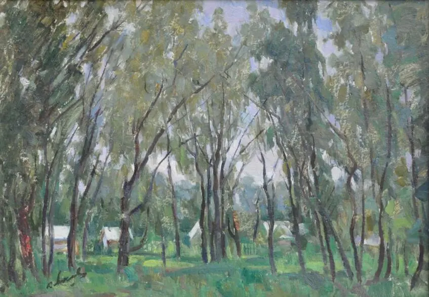 Collective gardens / Na Vinnychyni. Nad Buhom (Photo 256)