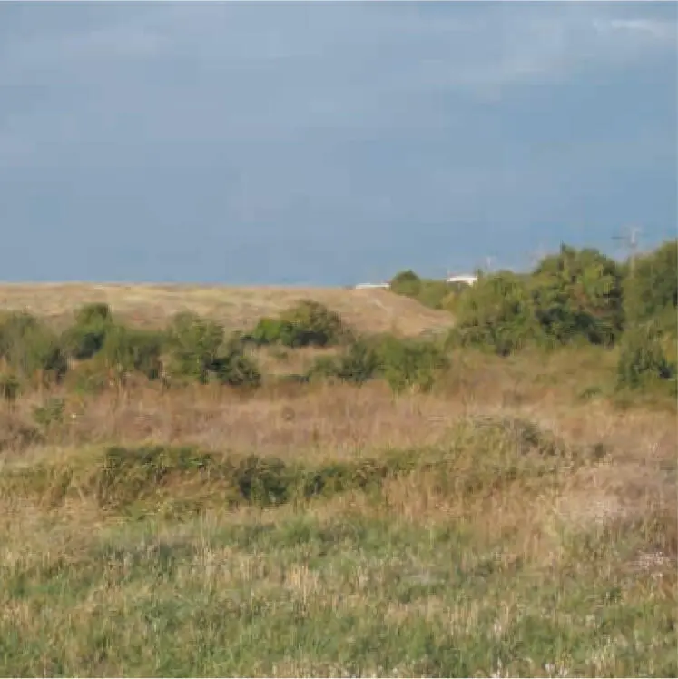 Archaeological site "Paleolithic site Novenkoe"